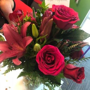 Meet your Posher, Roya